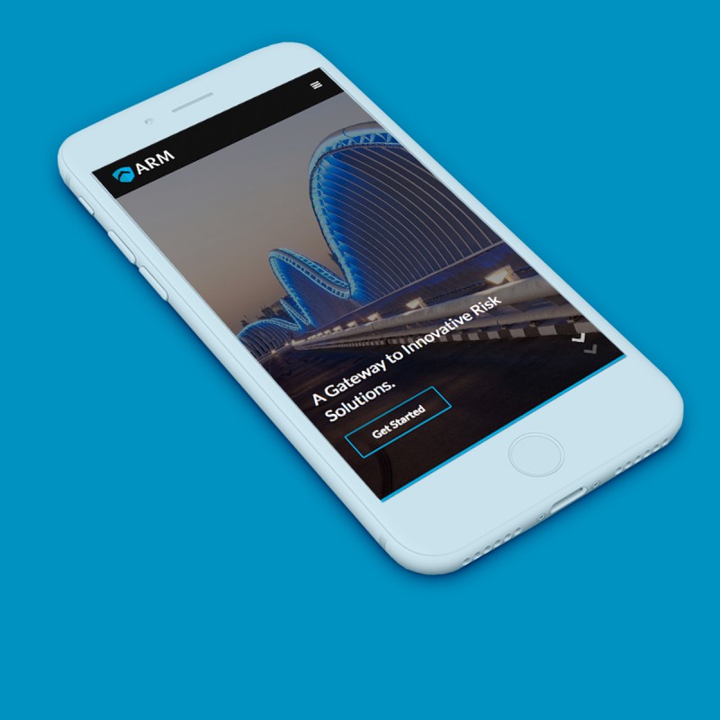 ARM Global Risks